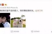 娱乐吃瓜君郑爽,娱乐圈的“吃瓜”焦点